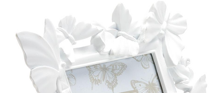 White Butterfly Frame
