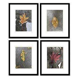 Limited Edition Len Prince Photography - Leaf Series